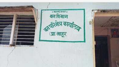Photo of कोट्यावधींंच्या कामांची माहिती दडवणा-या माहूर वनविभागाकडून वृक्षलागवडीच्या फुशारक्या…!