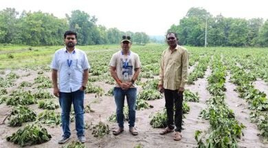 Photo of भर पावसात तब्बल विस गावांच्या पिक नुकसानीची पाहणी पूर्ण ; महसूल विभागाच्या कार्यतत्परतेचे शेतक-यांंतून समाधान…