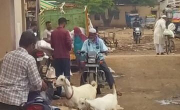 Photo of रेशनच्या तांदळाचा काळाबाजार करणा-या तांदुळ तस्कराकडून चक्क रेशन दुकानासमोरच पत्रकारास जिवे मारण्याची धमकी….