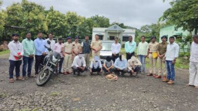 Photo of माहूरात ‘खवले मांजराची तस्करी करणा-या टोळीचा पर्दाफाश ; पाच जण वन विभागाच्या ताब्यात…