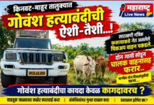 Photo of किनवट-माहूर तालुक्यात गोवंश हत्याबंदी कायद्याची ऐशी-तैशी…!